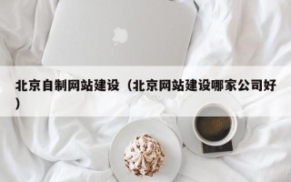 沛县北京自制网站建设（北京网站建设哪家公司好）